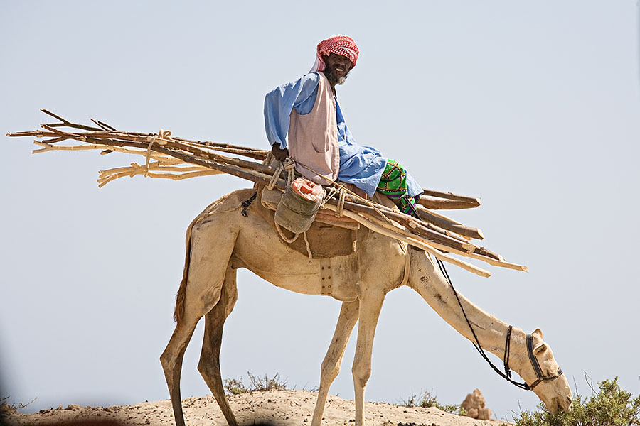 66   A Rashaida passenger